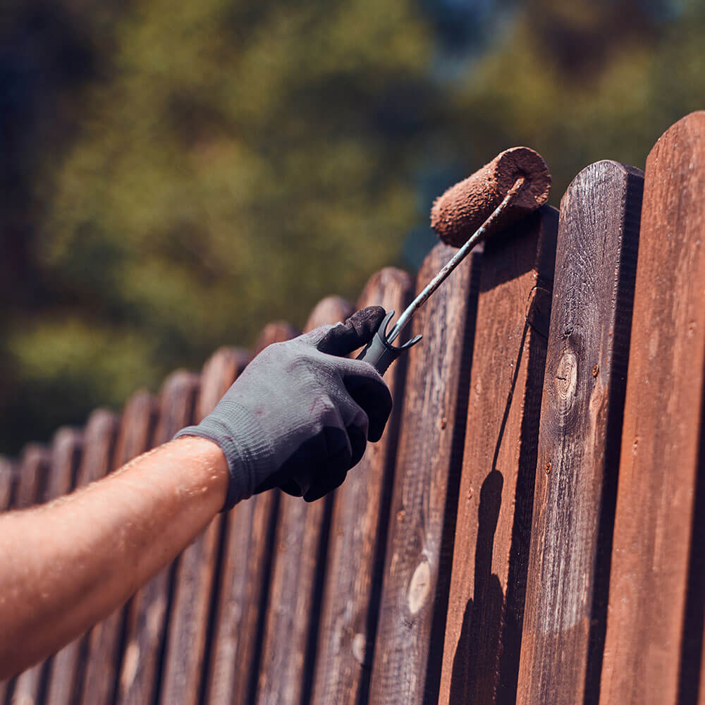 Deck & Fence Services
