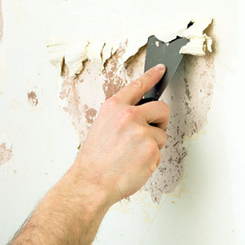 Wall Repair